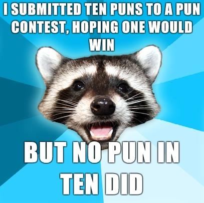 pun-raccoon.jpg